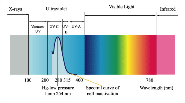 ,13 Watts G23,Qty 2 CNZ Base UV-C Germicidal Ultraviolet Light Bulb life 8000 h 